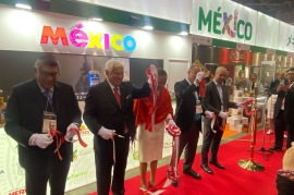 Limoneros de Michoacán buscan conquistar el mercado asiático en Foodex Japón 2025